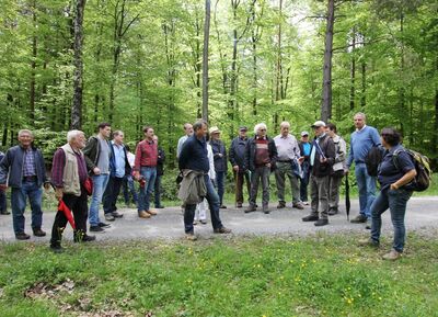 Start des Rundgangs beim Parkplatz Enzwiese